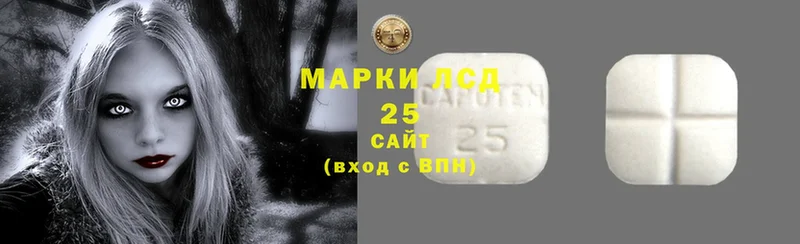 LSD-25 экстази кислота  Каменск-Уральский 