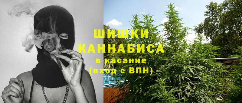 Бошки марихуана LSD WEED  закладка  Каменск-Уральский 